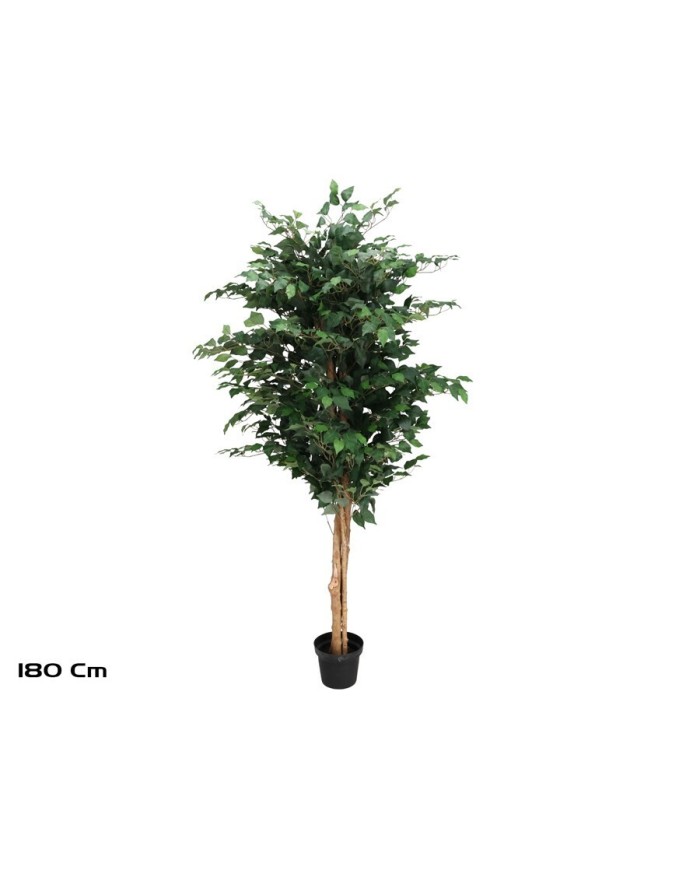 ARBOL FICUS NATUR T/N 180 CM