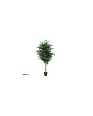 ARBOL FICUS NATUR T/N 180 CM