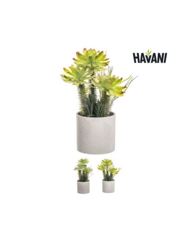 BONSAI SUCULENTA 37,5 cm SURT/2