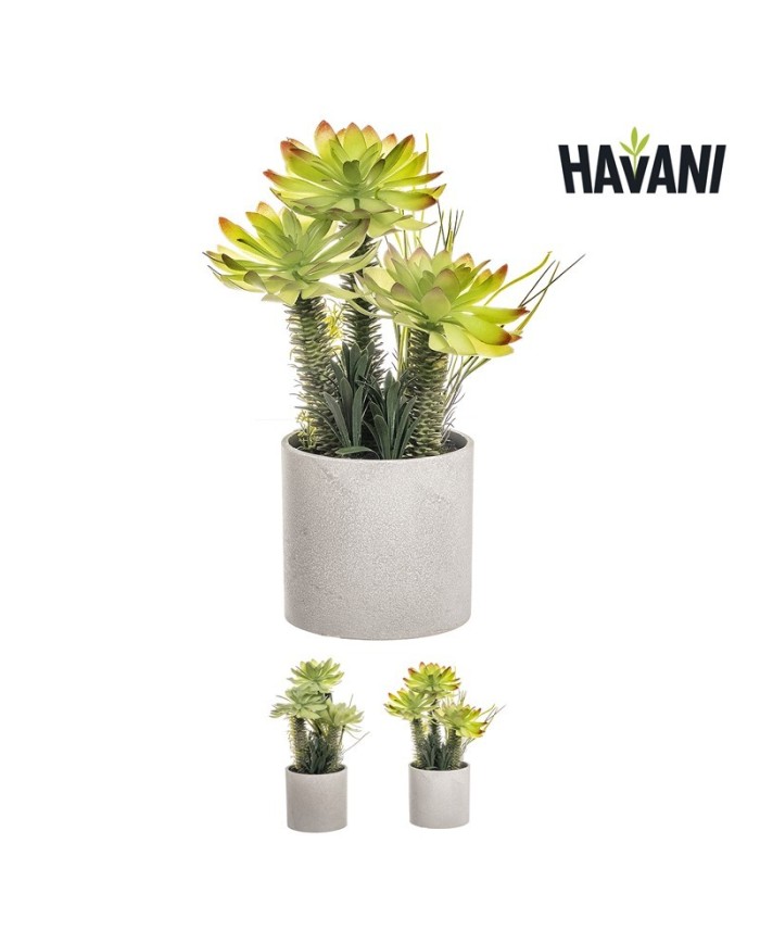 BONSAI SUCULENTA 37,5 cm SURT/2