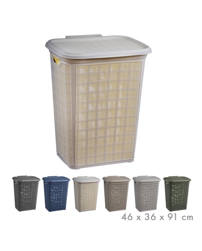 CESTA PLASTICO LAVANDERIA 60L SURT/6