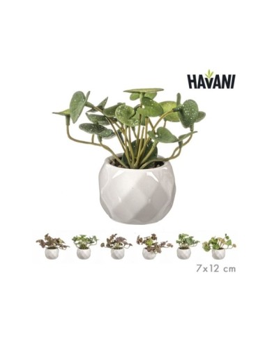 PILEA ARTIF. MINI MACETA SURT/6