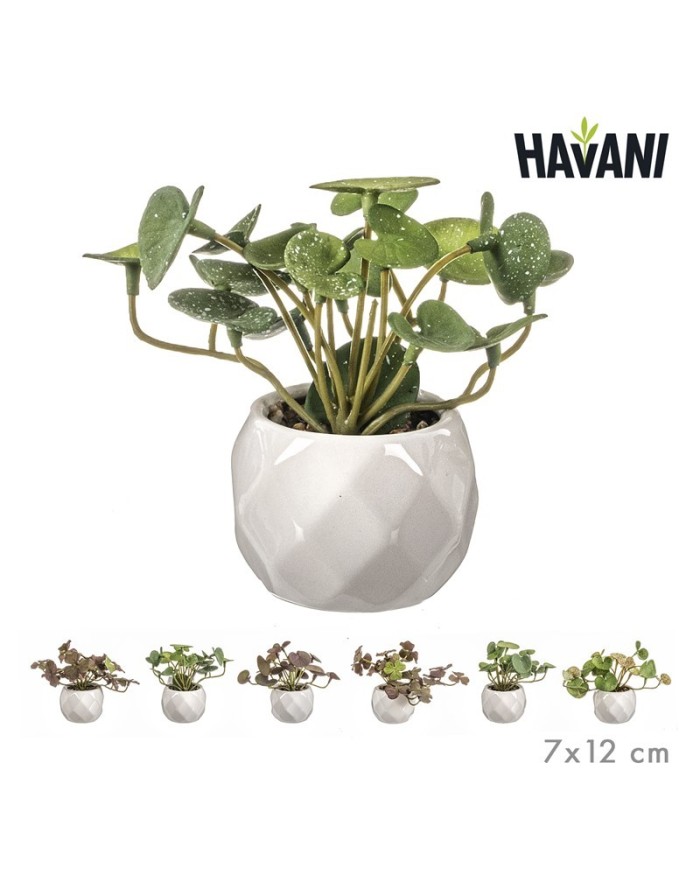 PILEA ARTIF. MINI MACETA SURT/6