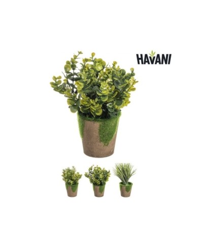 PLANTA BUXUS ARTIF. CON MACETA SURT/3