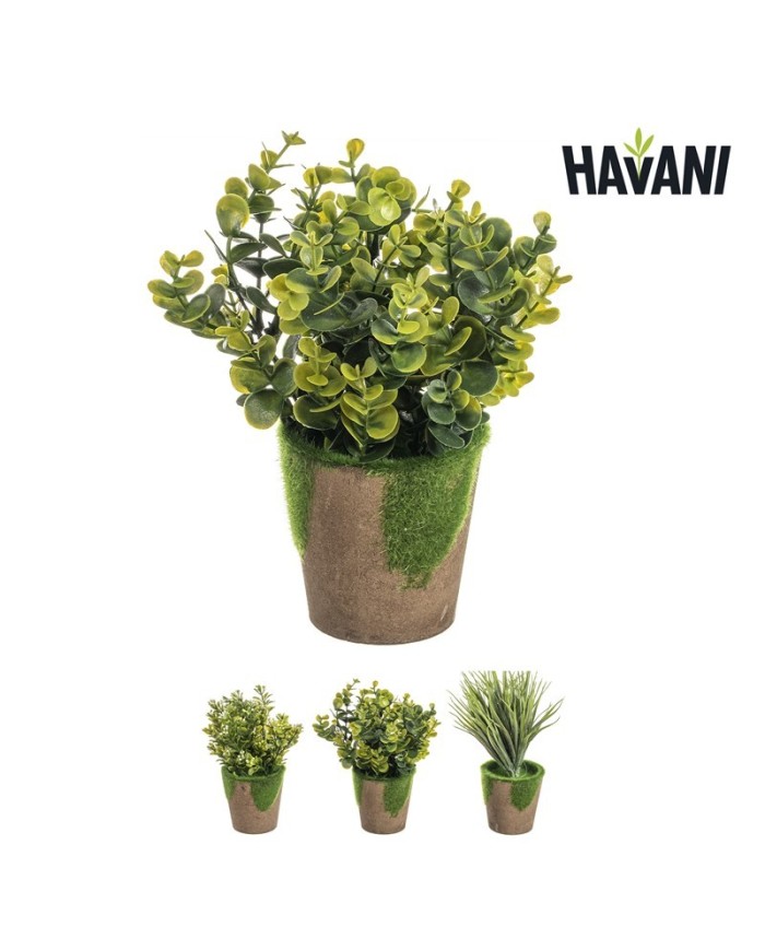 PLANTA BUXUS ARTIF. CON MACETA SURT/3