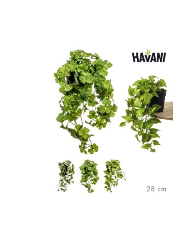 PLANTA ENREDADERA ARTIF. SURT/3