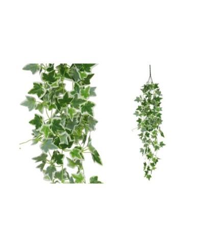 COLGANTE HIEDRA HOLANDESA X 168LVS 110CM