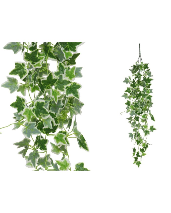 COLGANTE HIEDRA HOLANDESA X 168LVS 110CM