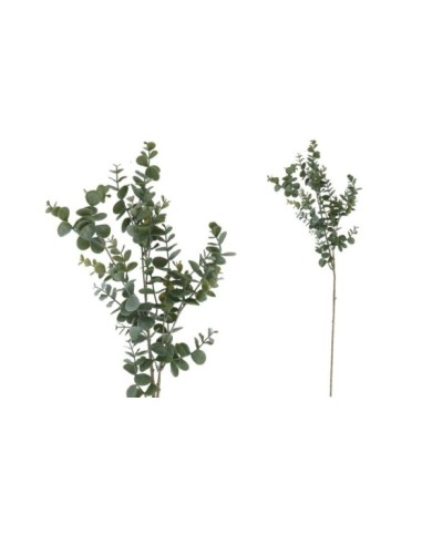 VARA EUCALIPTO PLAS X 5 -81 CM (VD/CL)