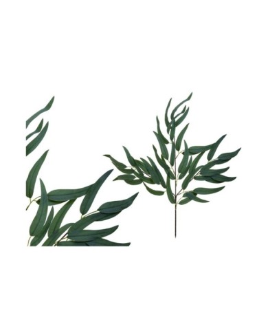 VARA EUCALPYTUS X 42 -71 CM