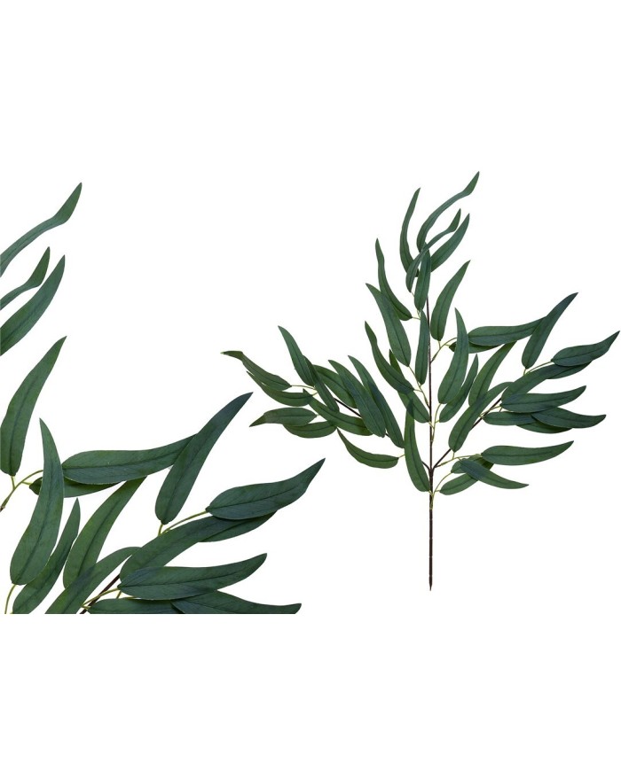 VARA EUCALPYTUS X 42 -71 CM