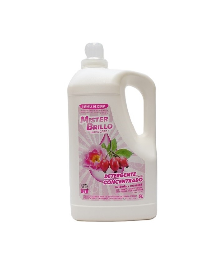GEL DETERG M BRILLO 75 D (5L) R MOSQU