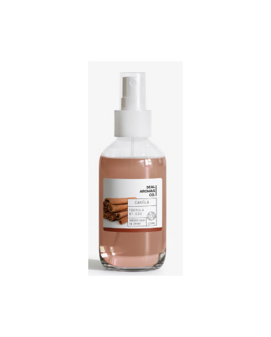 AMB. SPRAY 100ML- CANELA