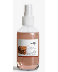 AMB. SPRAY 100ML-SPA