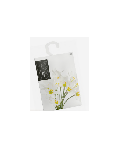 SOBRE ARMARIO ESS. 90 ML-GINGER LILY