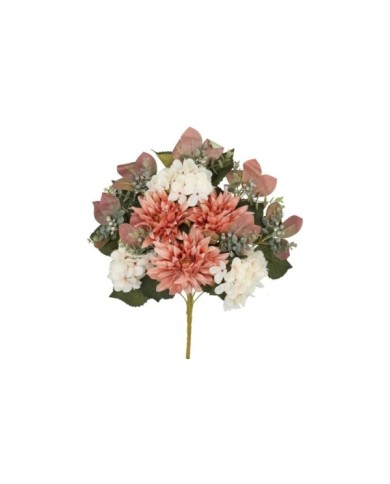 CONJUNTO DALIAS- HYD (A) X 13-55CM (COR)