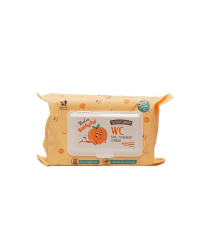 PAPEL HIG FRUIT HUMEDO 60/U MELOCOTON