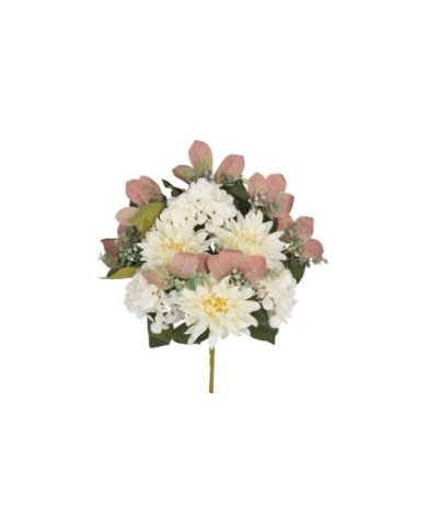 CONJUNTO DALIAS- HYD (A) X 13-55CM (CR)