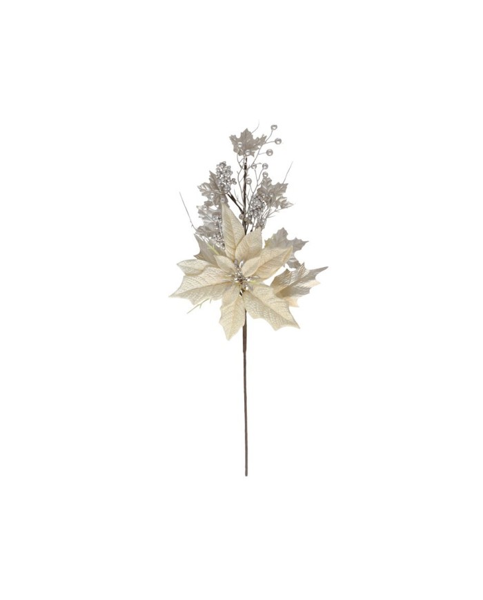 VARA POINSETTIA ARES 66CM