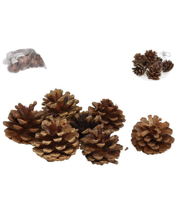 BOLSA PIÑAS CLASS NATURAL 100 GR