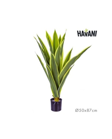 PLANTA PHORMIUM ARTIF. 87 cm