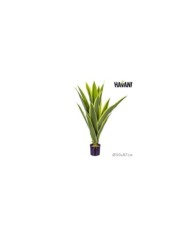 PERCHERO CON 2 BALDAS MADERA 160 cm