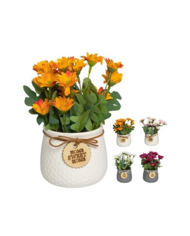 MACETA CON MARGARITAS COLORES S/4