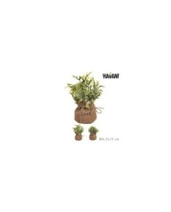 MACETA CRASAS ARTIFICIAL Ø6x9 cm SURT/4