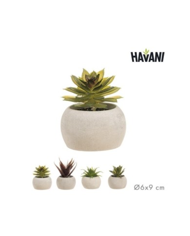 MACETA CRASAS ARTIFICIAL Ø6x9 cm SURT/4