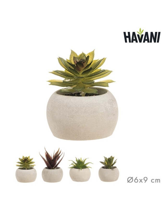 MACETA CRASAS ARTIFICIAL Ø6x9 cm SURT/4