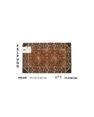 FELPUDO C/SOPORTE PVC 40X 60CM MILAN Nº 4