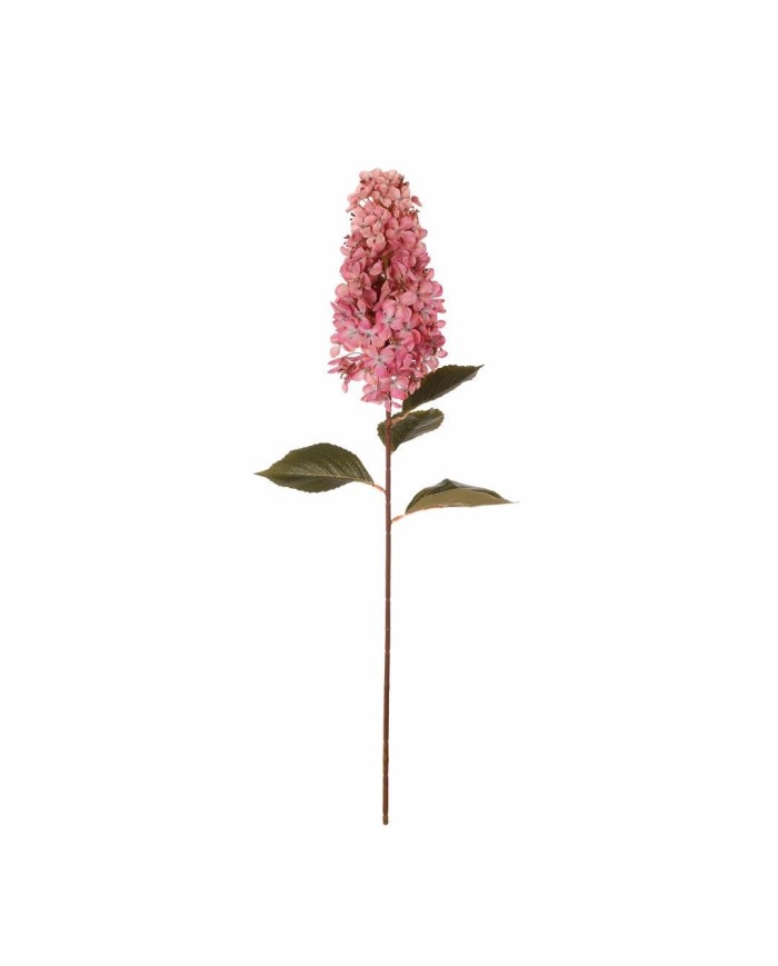 VARA HORTENSIA SEMILLA ALARG. *ROSA