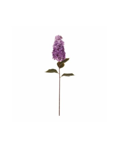 VARA HORTENSIA SEMILLA ALARG. *VIOLETA