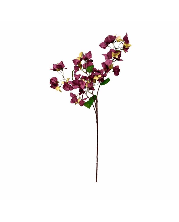 VARA BOUGAMBILLA *BERENJENA