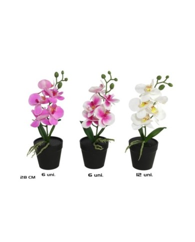 MACETA ORQUIDEAS X 5 R/TOUCH-28 CM (S)