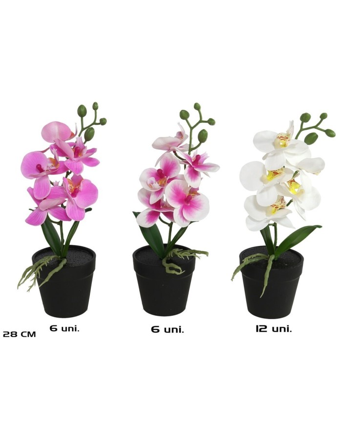 MACETA ORQUIDEAS X 5 R/TOUCH-28 CM (S)