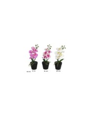 MACETA ORQUIDEAS X 10 R/TOUCH 43 CM (S)