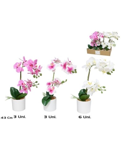 MACETA ORQUIDEAS X 10 R/TOUCH 43 CM (S)