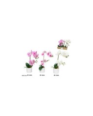 MACETA ORQUIDEAS X 10 R/TOUCH 43 CM (S)
