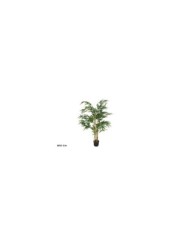 MACETA ORQUIDEAS X 10 R/TOUCH 43 CM (S)