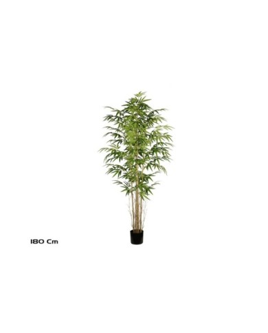 ARBOL BAMBU T/N X 5- 180 CM