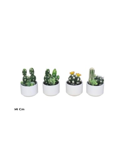 MACETA CERAMICA CACTUS 14 CM (S)