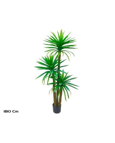 PLANTA YUCCA X 3 - 180 CM