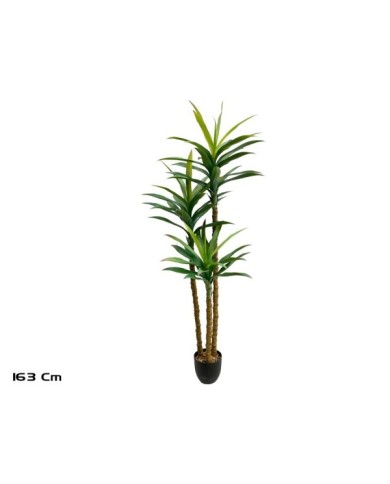 PLANTA YUCCA X 3 - 163 CM