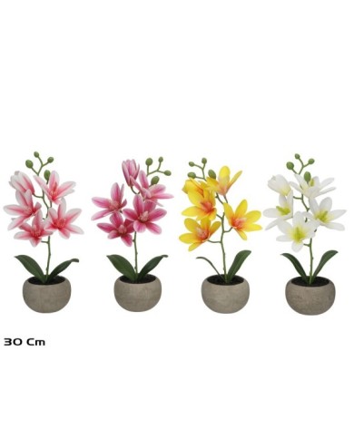 MACETA MAGNOLIA R/T X 5 - 30 CM (S)