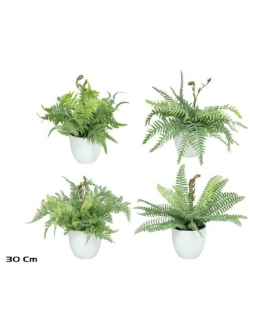 MACETA HELECHOS FLOC X 21 LVS-30 CM (S)