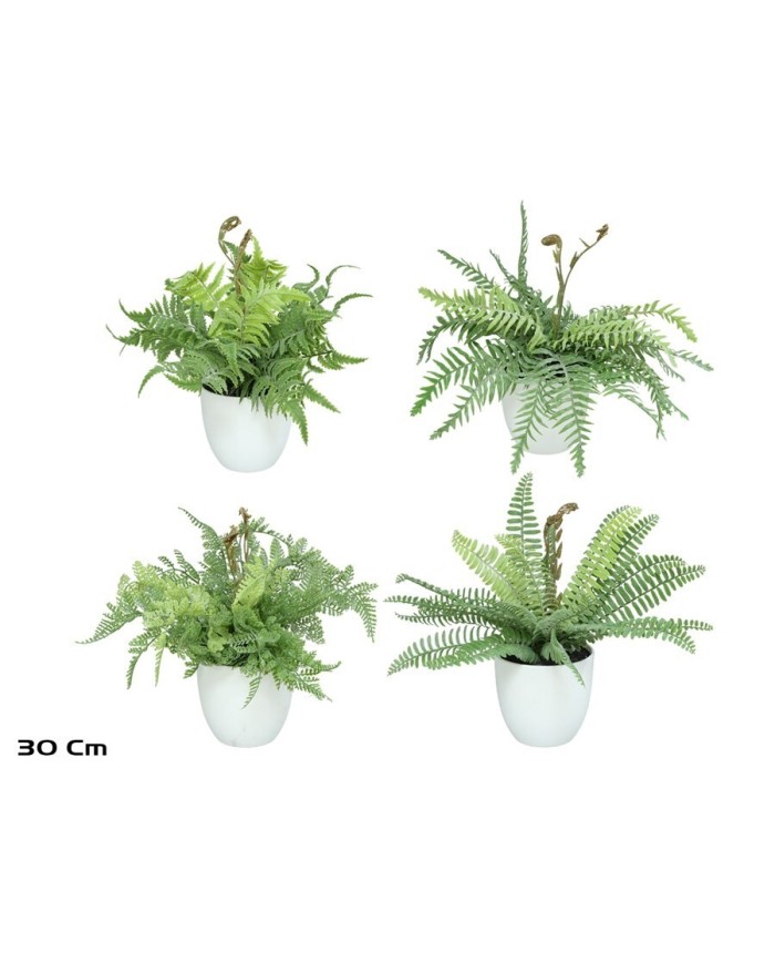 MACETA HELECHOS FLOC X 21 LVS-30 CM (S)