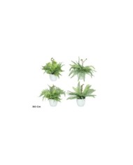 MACETA HELECHOS FLOC X 21 LVS-30 CM (S)