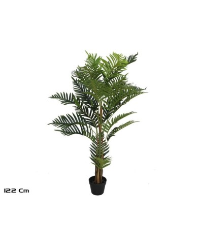 PLANTA PALMERA ARECA  X 24 - 122 CM
