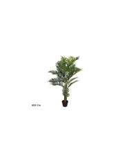 PLANTA PALMERA ARECA  X 24 - 122 CM
